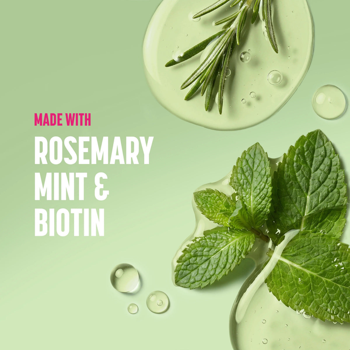 Rosmarin- og mynteblade i gel med vanddråber – produkt med rosemary mint & biotin.
